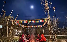 Basecamp Manali