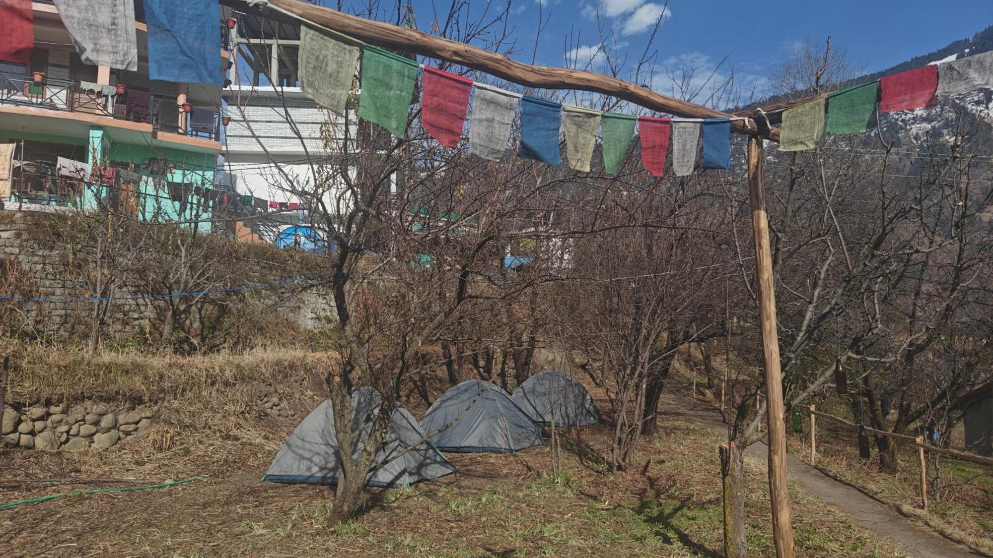 Basecamp Manali Hostel Room photo