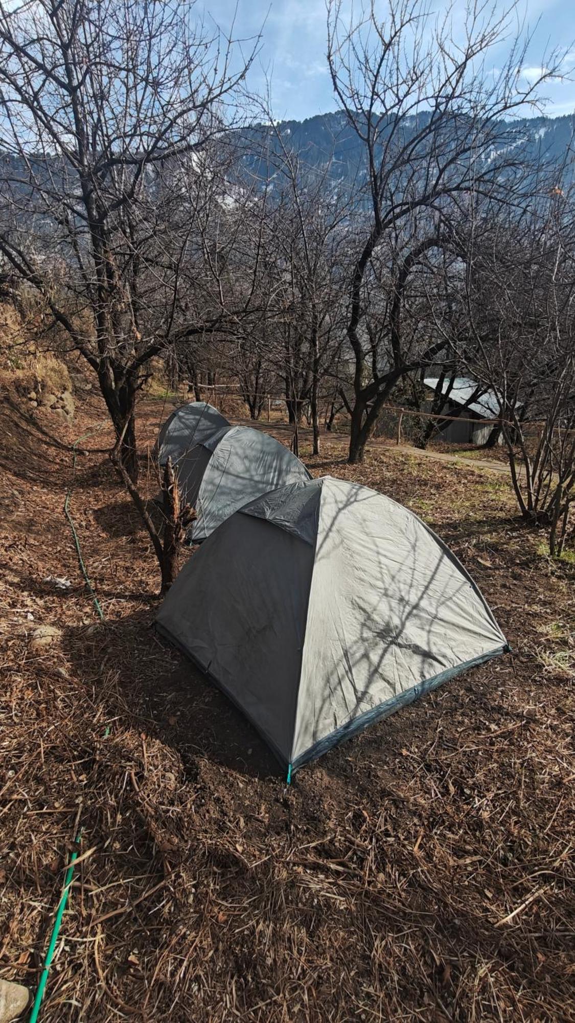 Basecamp Manali Hostel Room photo