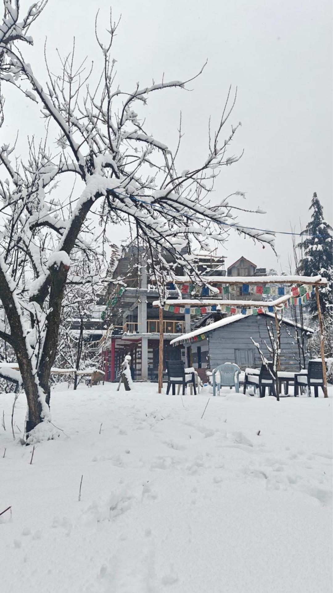 Basecamp Manali Hostel Exterior photo